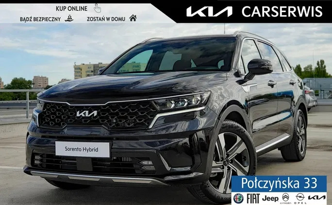 mazowieckie Kia Sorento cena 233550 przebieg: 2, rok produkcji 2023 z Sompolno